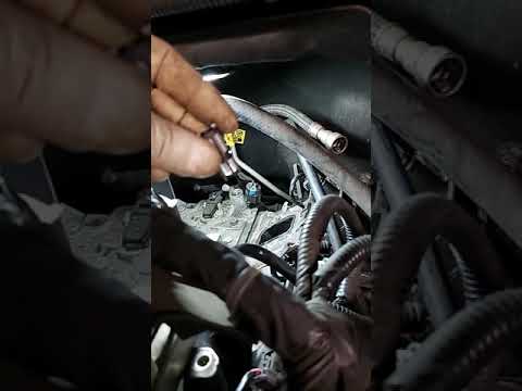 Chevy/GM V8 Oil Pressure Switch & Filter