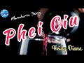 Heidy Diana Lagu Mandarin 01 PHEI CIU Video Lyrics