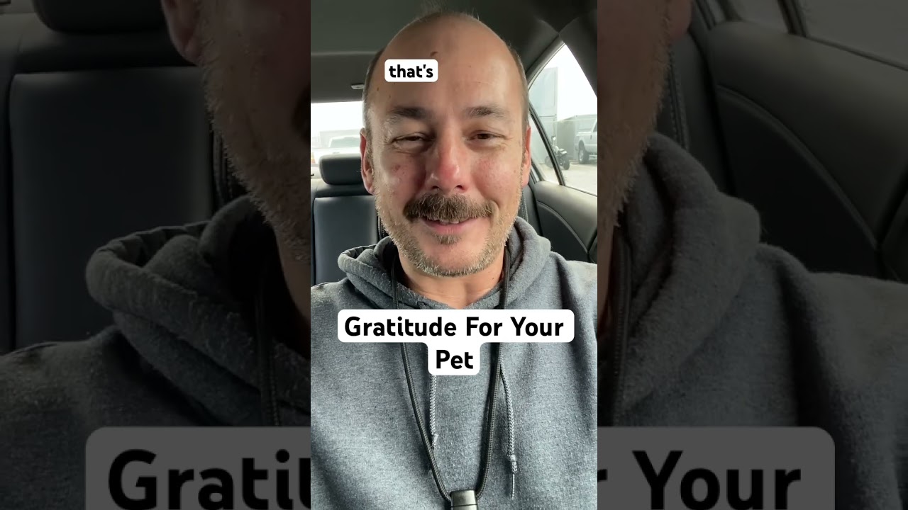 Promotional video thumbnail 3 for Gratitude Motivation Speaker