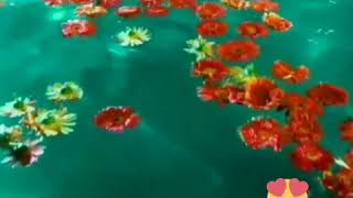 Hawa Mein Udta Jaaye By Bombay Vikings - YouTube