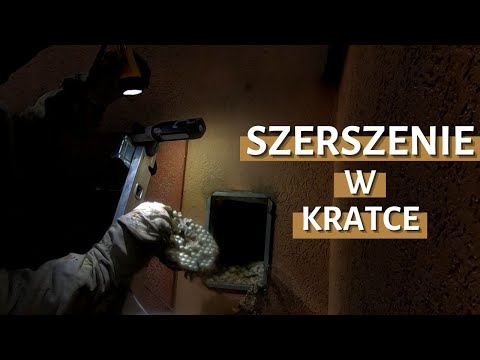 Gniazdo szerszeni w kratce wentylacyjnej - usuwanie gniazda szerszeni - likwidacja gniazda -