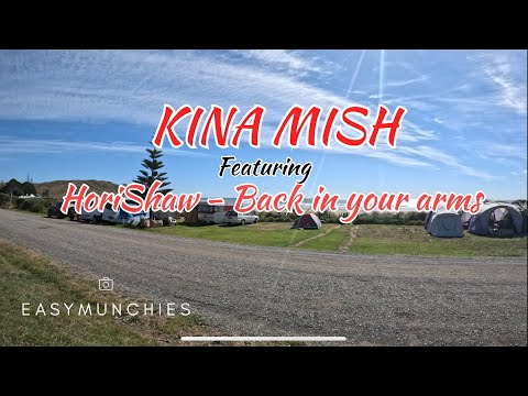 Kina vid ft Hori Shaw - back in your arms