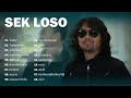 Sek Loso Hit