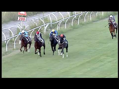 Galoppo 08/07/2020 - 5ª corsa