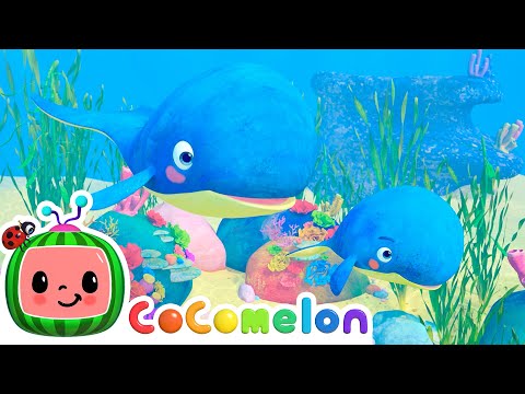 Mom and Baby Blue Whale Lullaby | Best Animal Videos for Kids | Kids Songs and Nursery Rhymes