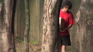 Download lagu Farewell love song (Clipe) - Graveola mp3 Download lagu Farewell love song (Clipe) - Graveola mp3