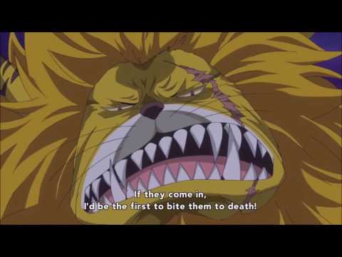 1 billion bounty jack vs cat viper and duke strom