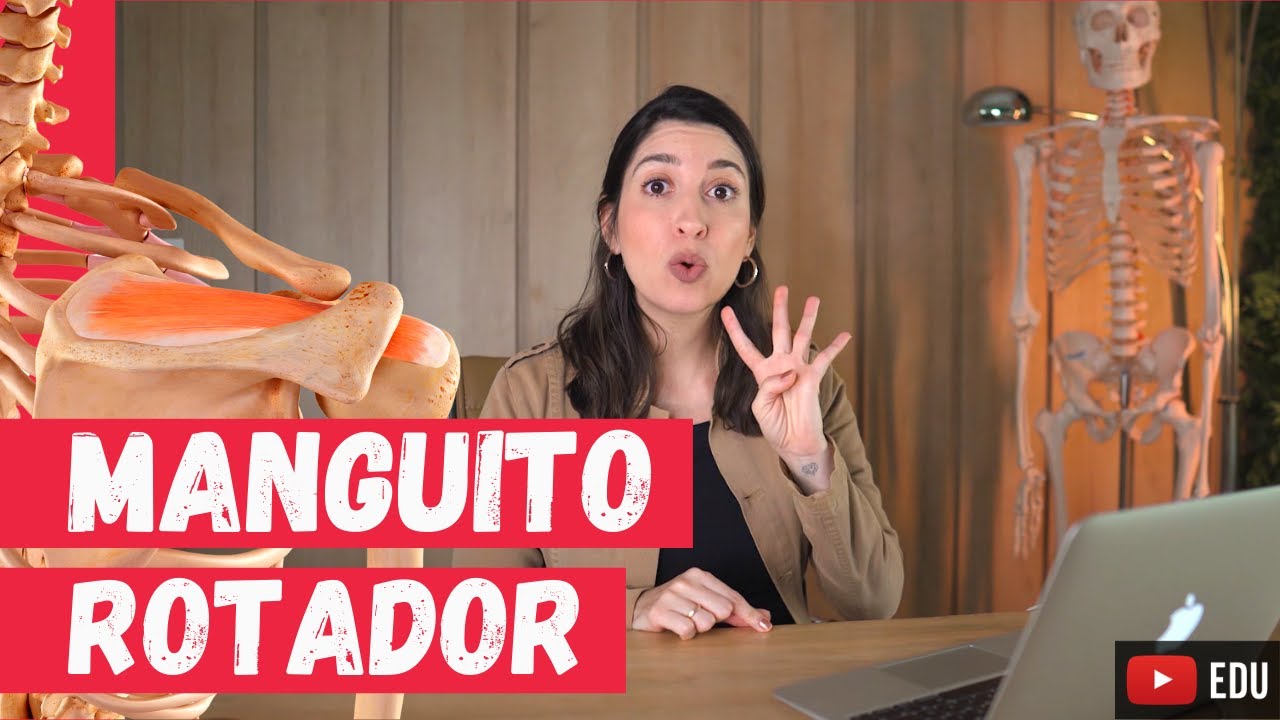 O Que é Um Manguito Anatomia