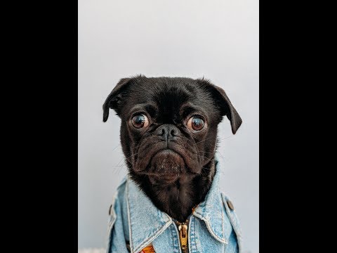 Nauses In URF IS SO FUN!