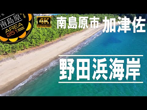 野田浜海岸｜日本の名松100選｜南島原市加津佐町｜ひまわり観光協会｜島原半島