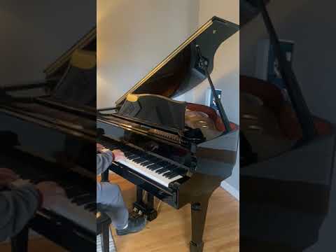 Magnificent Baby grand piano 5' & Yamaha Bench image 10