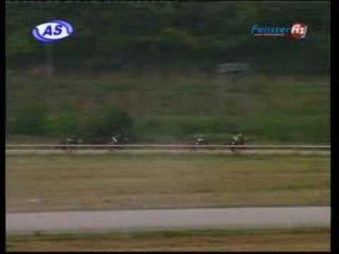 Srpski Tiral Stakes - 2006.godina