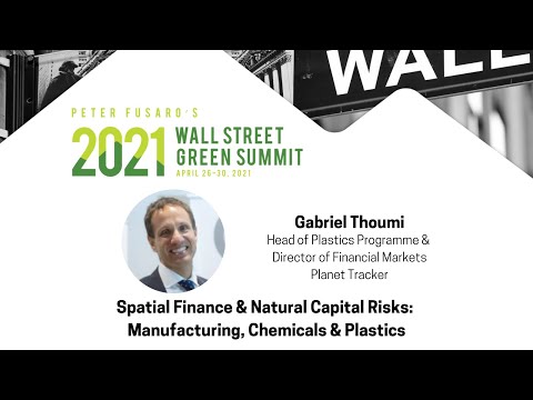 Spatial Finance & Natural Capital Risks | Gabriel Thoumi | 2021 WSGS