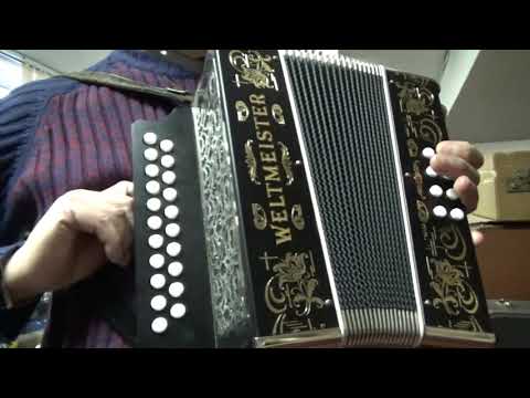 WELTMEISTER 8 BASS Diatonic button accordion