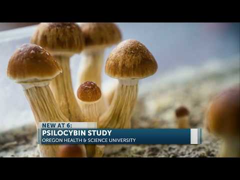 Oregon psilocybin services linked to major drops in anxiety ...