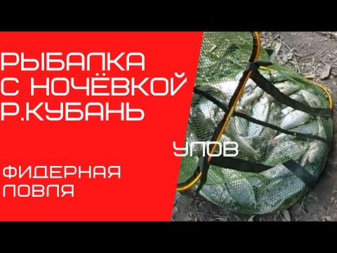 Фото рыбалка на р.Кубань с ночёвкой / супер улов