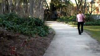 vieja loca con artrosis