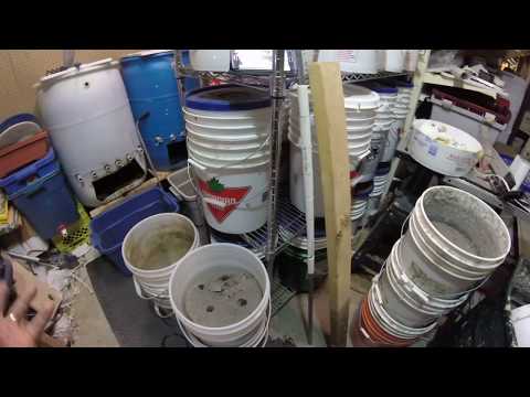 Creating Bedding For The Worm Bins Using Pulped Paper