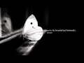 Paul Cantelon Theme For The Diving Bell And The Butterfly