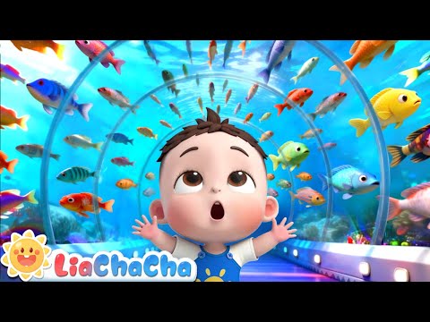 Baby Visits the Aquarium | EP239 | Ocean Animals Song | Nursery Rhymes & Kids Songs | LiaChaCha