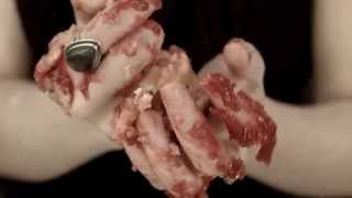 The Ghost Ease - Gemini Rise (OFFICIAL VIDEO)