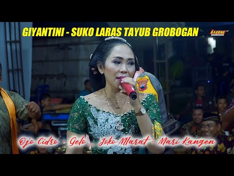 OJO CIDRO - GELO -JOKO MLARAT - MARI KANGEN | GIYANTINI | SUKO LARAS