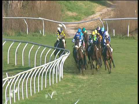 Galoppo 04/01/2018 - 2ª corsa