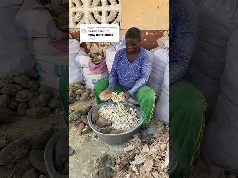 Discover Baobab Oil's Healing Powers for Sensitive Skin | Flash Sale Ending!