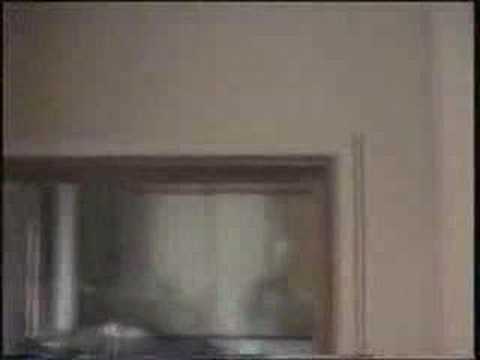 Sun Caged Artemisia Studio recordings