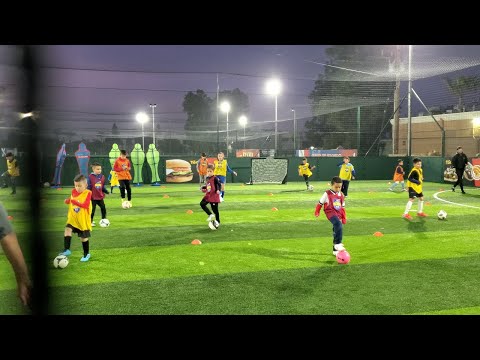 Eli's ProgressiveSoccerOzzy Training Session