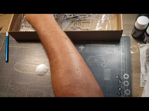 Freedom models 1/48 F-20 Tigershark