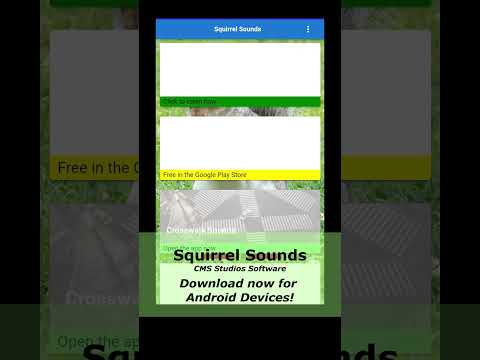 Squirrel Sounds Soundboard
