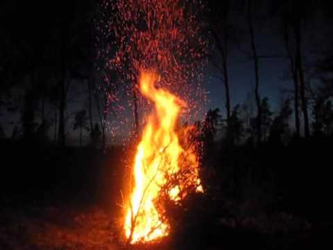 terkel lond bieber bieber Oliver Bue Lund