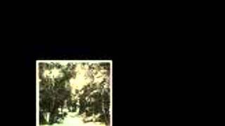 MARTIAL CANTEREL - Efface (2007)