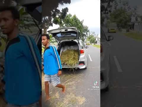 Mobil Mewah Untuk Ngarit