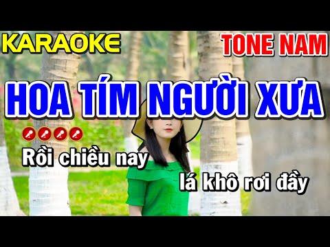 HOA TÍM NGƯỜI XƯA Karaoke Nhạc Sống Tone Nam - Karaoke Mai Phạm