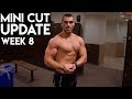 Mini Cut Update | Upper Body Workout | Next Cheat Day Plan