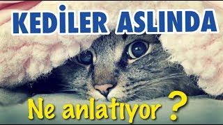 KEDİNİZ ASLINDA SİZE NE ANLATIYOR ? ONU ANLAYABİLİYOR MUSUNUZ?