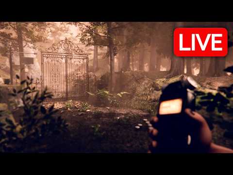 Просмотреть видео