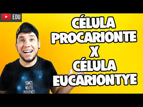 TIPOS DE CÉLULAS E INTRODUÇÃO À CITOLOGIA │Prof. Patrick Gomes