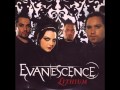 Evanescence - All That I'm Living For [HD ...