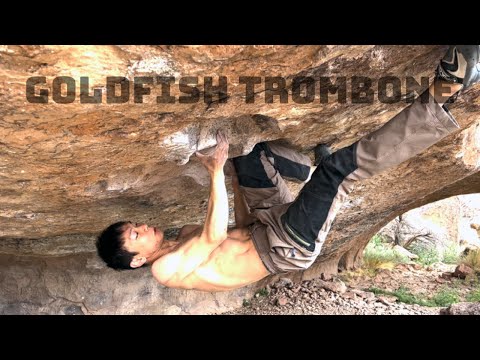 [ENG SUB] Goldfish Trombone V14 / 8B+ | Yi-Shiou Duh