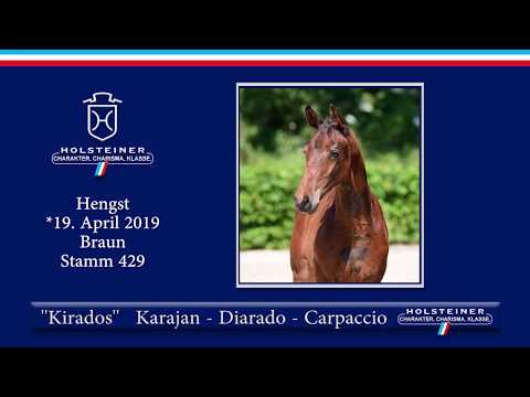 Holsteiner Elite-Fohlenauktion 2019 - Nr. 26 Kirados v. Karajan-Diarado