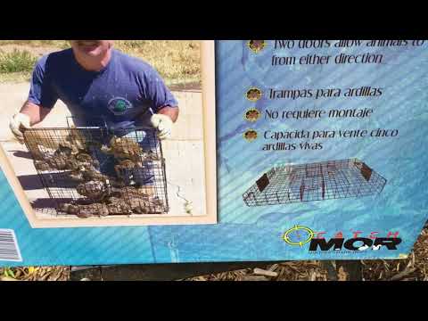 Squirrelinator Review 2018 (Part 1 of 2)