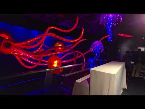 Artistic Dj's Entertainment Company video.