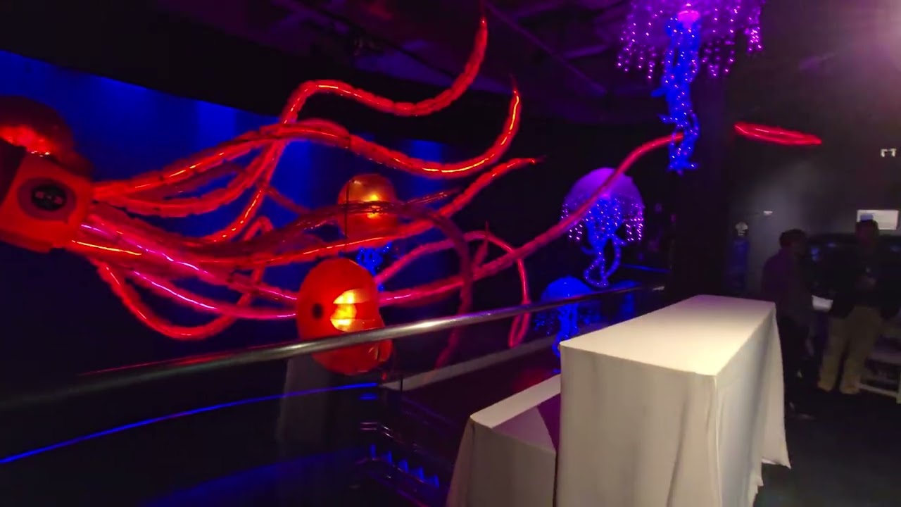 Promotional video thumbnail 9 for Artistic Dj's Entertainment Company