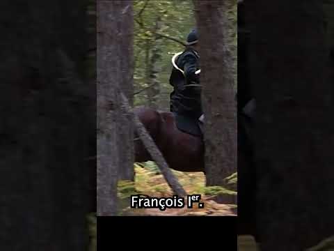 Sur la piste d’un cerf dans le château de Fontainebleau