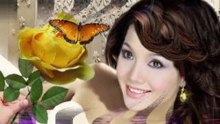 Die Flippers Sommerträume