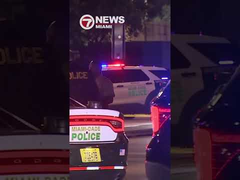 Deputy shoots at car during NW Miami-Dade traffic stop involving stolen vehicle