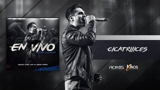 Regulo Caro - Cicatriiices (EN VIVO CON LA MISMA BANDA)